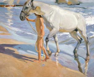 Washing the Horse, 1909 (oil on canvas) | Obraz na stenu