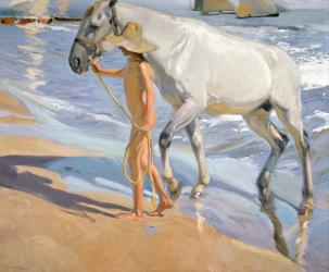 Washing the Horse, 1909 (oil on canvas) | Obraz na stenu