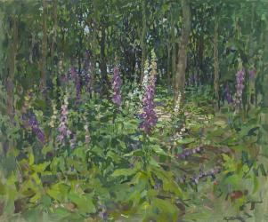 Foxgloves (oil on canvas) | Obraz na stenu