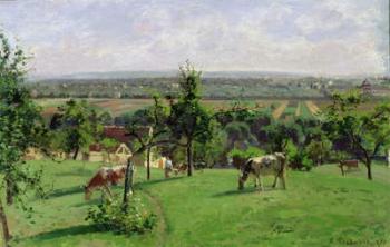 Hillside of Vesinet, Yvelines, 1871 (oil on canvas) | Obraz na stenu