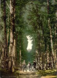 Hohesonne and view of the Wartburg, Wartburg, Thuringia, German, c.1890-c.1900 | Obraz na stenu