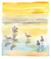 Seagulls on beach, 2014, (watercolor) | Obraz na stenu