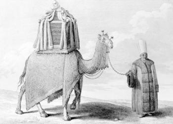 The Sacred Camel (engraving) | Obraz na stenu