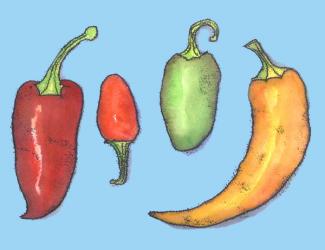Chilli peppers | Obraz na stenu
