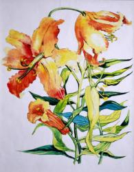 Orange Lilies 1,1985 (watercolour) | Obraz na stenu