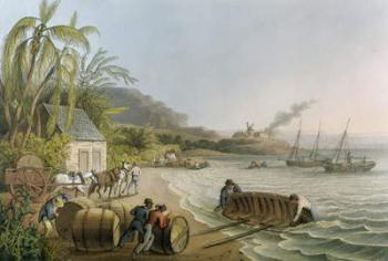 Carting and Putting Sugar Hogsheads on Board', plate X from 'Ten Views in the Island of Antigua', published by W. Clark, London, 1823 (coloured aquatint) | Obraz na stenu
