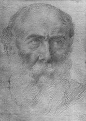 Head of a man (goldpoint on paper) | Obraz na stenu