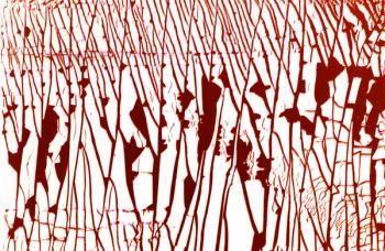 Study for NA_3 [Bang Bang], 2002, colour photograph | Obraz na stenu