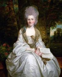 A Portrait of Dorothy Vaughan, Countess of Lisburne, c.1777 (oil on canvas) | Obraz na stenu