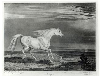 Marengo, engraved by the artist, pub. by R. Ackermann, 1824 (engraving) (b&w photo) | Obraz na stenu