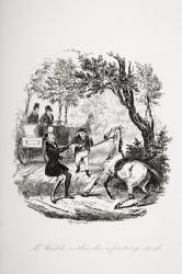 Mr. Winkle soothes the refractory steed, illustration from `The Pickwick Papers' by Charles Dickens (1812-70) published 1837 (litho) | Obraz na stenu