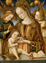 Madonna and Child with Two Angels, c.1481-82 (tempera and gold on wood) | Obraz na stenu