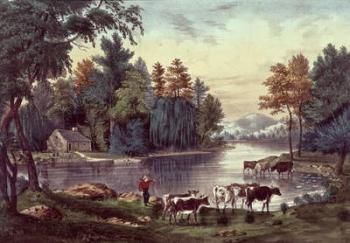 Cows on the Shore of a Lake, published by Nathaniel Currier (1813-88) and James Merritt Ives (1823-95) (colour litho) | Obraz na stenu