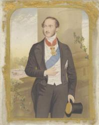 Prince Albert, after 1855 (aquatint) | Obraz na stenu