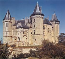 View of the Chateau, rebuilt in 1227 by St. Louis and strengthened in 16th century by Bartolommeo (photo) | Obraz na stenu