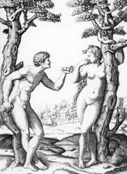 Adam and Eve, engraved by Marcantonio, c.1520 (engraving) | Obraz na stenu