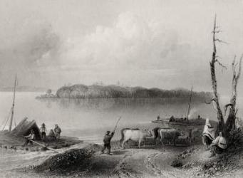 Navy Island, Niagara River, Ontario, Canada, engraved by Charles Coulson (1815-89) (engraving) | Obraz na stenu