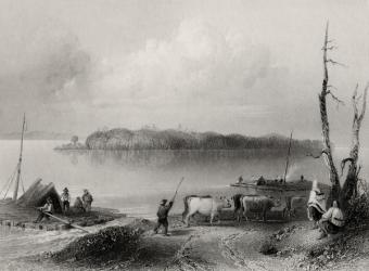 Navy Island, Niagara River, Ontario, Canada, engraved by Charles Coulson (1815-89) (engraving) | Obraz na stenu