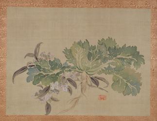 A tuberose, 1851 (watercolour on silk) | Obraz na stenu