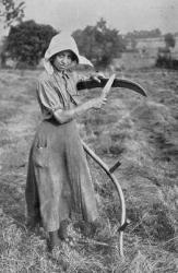 Harvesting - Member of the Leicester Women's Volunteer Reserve helping a farmer, War Office photographs, 1916 (b/w photo) | Obraz na stenu