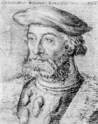 Guillaume du Bellay (engraving) | Obraz na stenu