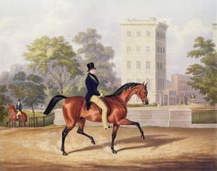 The Marquis of Anglesea on Horseback in Hyde Park, in his 80th year, engraved by J. Harris, 1847 (colour engraving) | Obraz na stenu