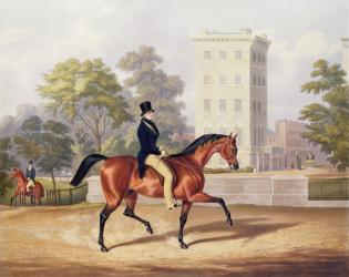 The Marquis of Anglesea on Horseback in Hyde Park, in his 80th year, engraved by J. Harris, 1847 (colour engraving) | Obraz na stenu