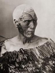 A Maori Chief from New Zealand. The tattoo on his face is not quite complete, but the grooves in the skin produced by the peculiar method of Maori tattooing are very distinct. He wears a cloak of flax leaves of a type which affords very efficient protecti | Obraz na stenu