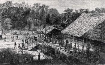 Workers on a Coffee Plantation (engraving) (b&w photo) | Obraz na stenu