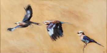 lilac breasted roller trio, 2015, (oil on canvas) | Obraz na stenu