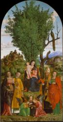 Madonna and Child with Saints, c.1520 (tempera and oil on canvas) | Obraz na stenu