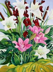 Lilies and Bullrushes (watercolour on paper) | Obraz na stenu