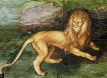 Lion (w/c on paper) | Obraz na stenu
