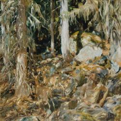 The Hermit (Il solitario), 1908 (oil on canvas) | Obraz na stenu