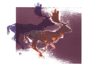 Fallow Bucks (orange/lilac), 2015, (screen print) | Obraz na stenu