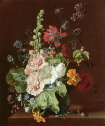 Hollyhocks and Other Flowers in a Vase, 1702-20 (oil on canvas) | Obraz na stenu