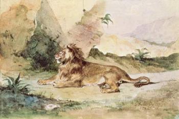 A Lion in the Desert, 1834 (w/c on paper) | Obraz na stenu
