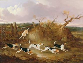 Beagles in Full Cry, 1845 (oil on canvas) | Obraz na stenu
