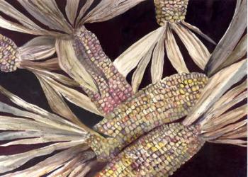 Corn | Obraz na stenu