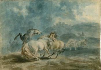 Horses Fighting (w/c over graphite on heavy texture laid paper) | Obraz na stenu