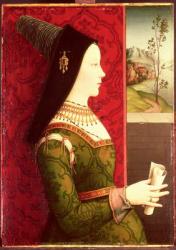 Mary of Burgundy (1457-82) daughter of Charles the Bold, Duke of Burgundy (1433-77), wife of Emperor Maximilian I of Austria (1459-1519) and mother of King Philip I of Spain (1478-1506) | Obraz na stenu