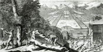 Illustration from 'The Reasons for establishing the Colony of Georgia' by Benjamin Martyn (1699-1763), 1733 (engraving) (b/w photo) | Obraz na stenu