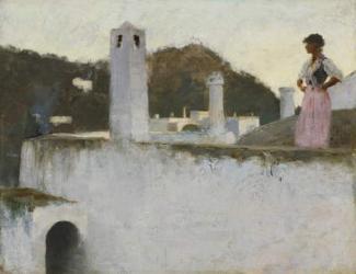 View of Capri, c.1878 (oil on academy board) | Obraz na stenu
