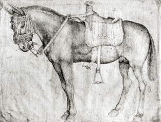 Mule, from the Vallardi Album (pen & ink on paper) (b/w photo) | Obraz na stenu