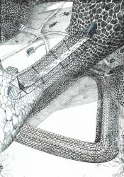 page31, The Castle in the Forest of Findhorn, 2006, (ink on paper) | Obraz na stenu