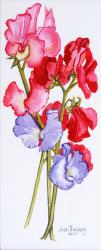 Three Sweet Peas 2011 (w/c on paper) | Obraz na stenu