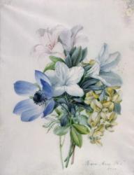 Anemone, wisteria and laburnum | Obraz na stenu