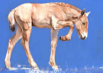 Przewalski Foal, 2012, (mixed media on paper) | Obraz na stenu