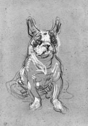 'Bouboule', the bulldog of Madame Palmyre at La Souris, 1897 (oil on cardboard) (b/w photo) | Obraz na stenu