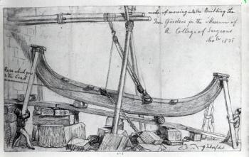 Moving the Iron Girders used to construct the Hunterian Museum at the Royal College of Surgeons, 1835 (pencil on paper) | Obraz na stenu